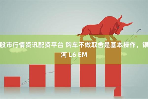 股市行情资讯配资平台 购车不做取舍是基本操作，银河 L6 EM